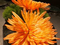 -南堂馆·新川菜(春熙路店)