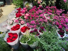 -双季花艺园艺市场(浦东店)