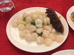-听松楼·花园酒店·自助餐厅(红梅公园店)