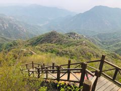 -大岭沟猕猴桃谷风景区