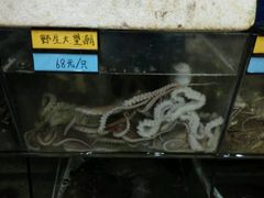 -胖大嫂渔家排档(半边山店)