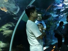 -石家庄海洋公园