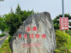 -洛阳古墓博物馆