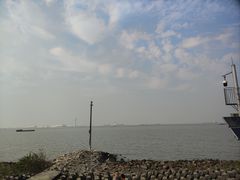 -上海滨江森林公园