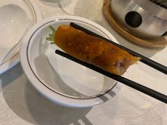 -丁老爷子苏香圆