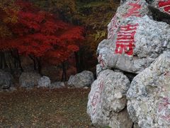-龙道沟景区