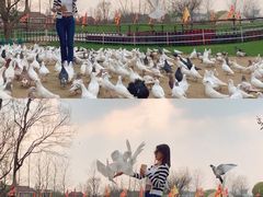 -南通洲际绿博园