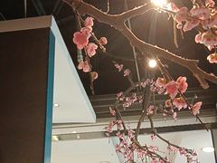 -老板恋上鱼(振华商厦店)