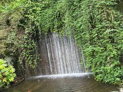 -千岛湖东南湖区