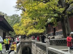 -晋祠博物馆