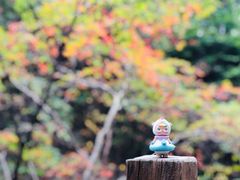 -丹东天桥沟景区