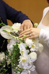 -JEFF STUDIO摄影摄像婚礼跟拍
