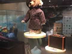 -济州岛泰迪熊博物馆