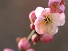 -河南财经政法大学(郑东校区)