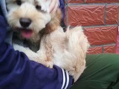 -骐奇宠物诊疗中心(南亭公路店)