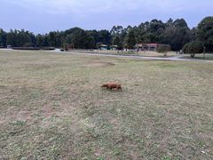 -中国天府农业博览园