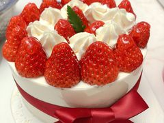 -格瑞思动物奶油生日蛋糕(圆融店)