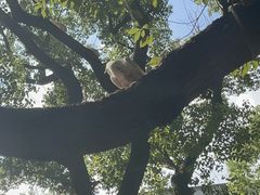 -上海宋庆龄故居纪念馆