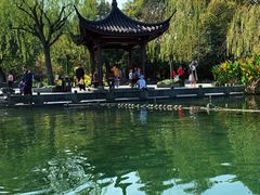 -西湖外事游船(花港观鱼码头)