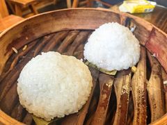 茨毛圆子-双塔老饭店