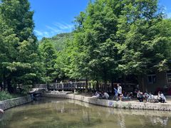 -白水寺森林公园
