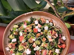 -O'eat Blossom&Pelican(深圳首店)