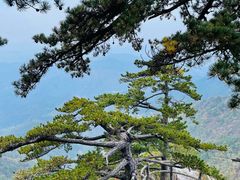 -罗田薄刀峰风景区