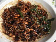 -老头儿油爆虾(星光一期店)