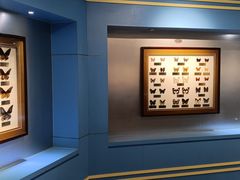 -上海昆虫博物馆