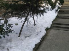 -南山风景名胜区