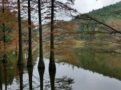 -四明山国家森林公园