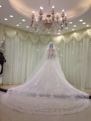 -艾米丽婚纱礼服