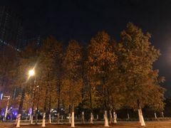 -万达茂商场(南京仙林店)