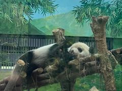 -黔灵山公园