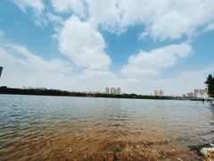 -长白岛森林公园