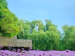 -中国湿地博物馆
