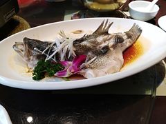 -刘胖子家常菜·蹄花焖藕(兴业店)