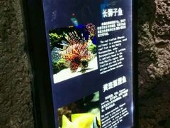 -福州罗源湾海洋世界旅游区