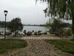 -石家庄市植物园