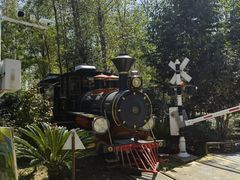 -合肥滨湖国家森林公园