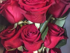 -ROSEONLY诺誓(广州K11店)