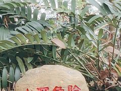 -福田红树林生态公园