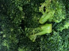 -北海金昌开元名都大酒店·四季轩中餐厅