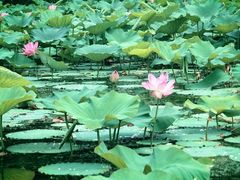 -承德避暑山庄景区
