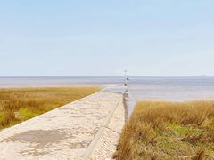 -南汇嘴观海公园