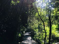 -桂山风景旅游区