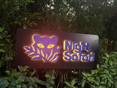 -夜间野生动物园