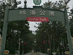 -林海公园