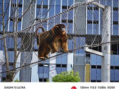 -杭州野生动物世界