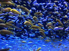 -成都浩海立方海洋公园